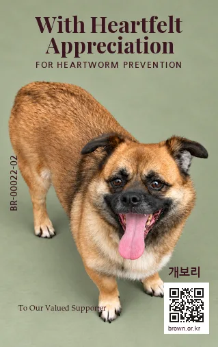 개보리 전신면