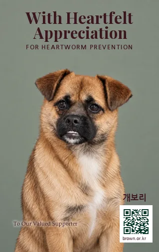 개보리 얼굴면