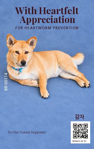 감자 카드 뒷면