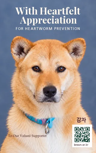 감자 카드 앞면