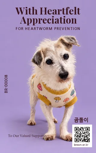 곰돌이 카드 뒷면