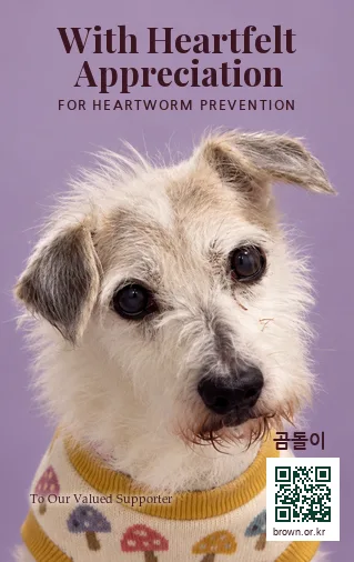 곰돌이 카드 앞면