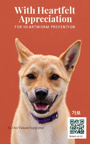 가보 카드 앞면