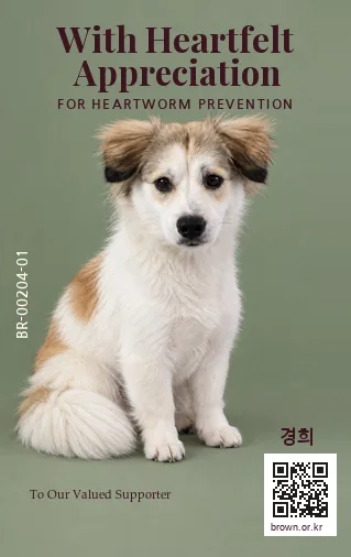 경희 카드 뒷면