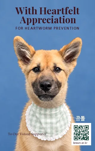 공돌 카드 앞면