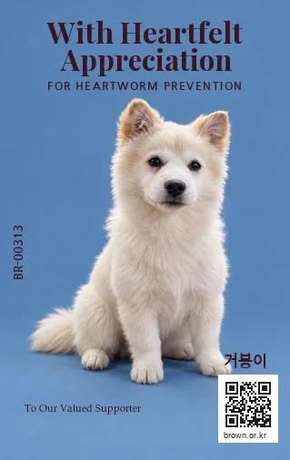 거봉이 카드 뒷면