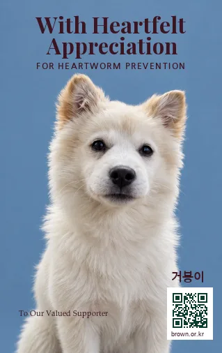 거봉이 카드 앞면