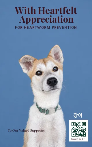 강이 얼굴면