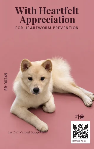 가을 전신면
