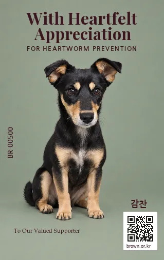 감찬 전신면