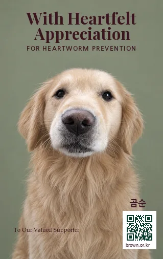곰순 카드 앞면