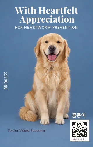 곰둥이 전신면