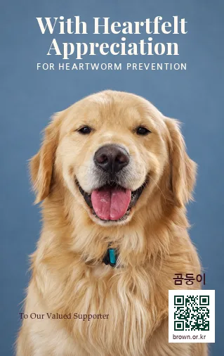 곰둥이 얼굴면