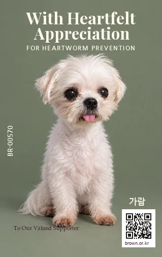 가람 카드 뒷면