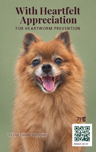 가별 카드 앞면