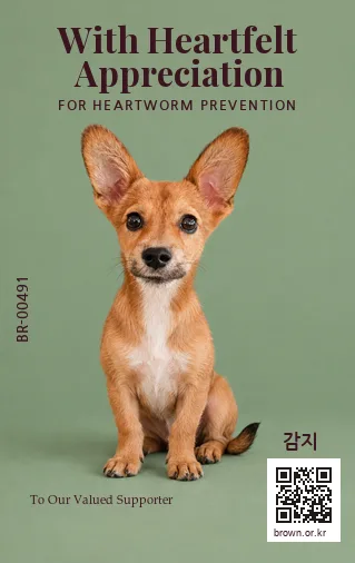 감지 전신면