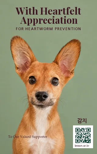 감지 얼굴면