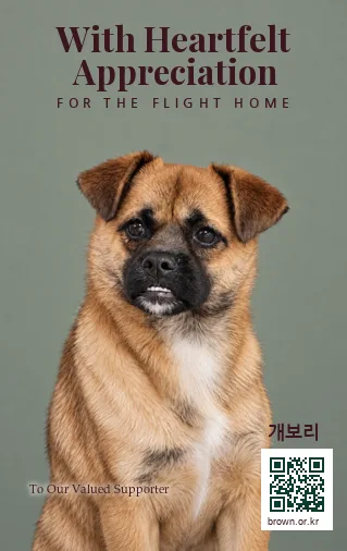 개보리 카드 앞면