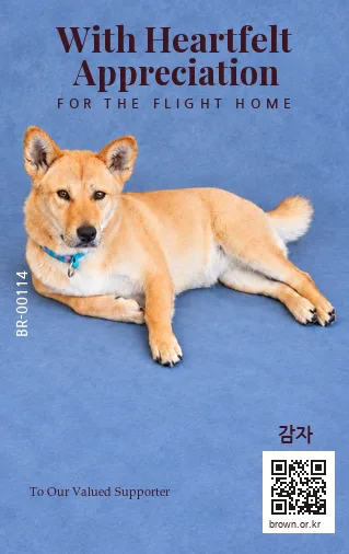 감자 카드 뒷면