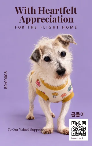 곰돌이 카드 뒷면