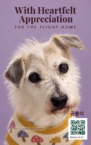곰돌이 카드 앞면