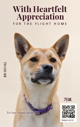 가보 카드 뒷면