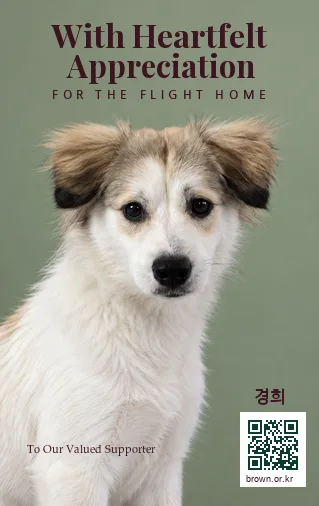 경희 얼굴면