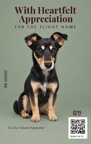 감찬 카드 뒷면
