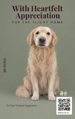 곰순 카드 뒷면