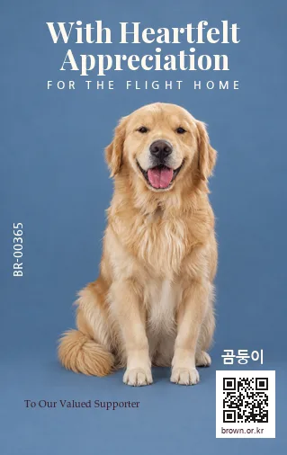 곰둥이 카드 뒷면