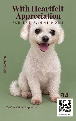 가빈 카드 뒷면
