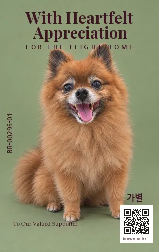 가별 카드 뒷면