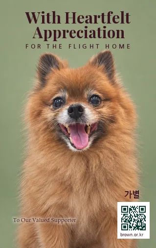 가별 카드 앞면