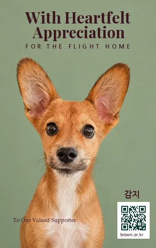 감지 카드 앞면