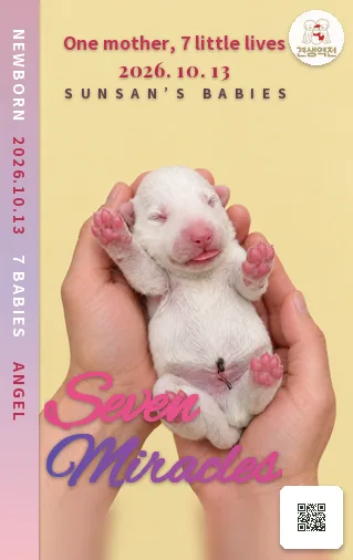 순산 뒷면