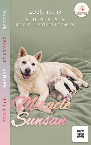 순산 카드 앞면