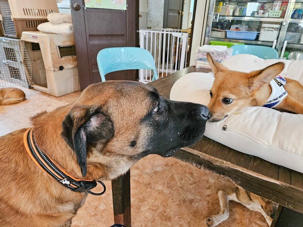 감지