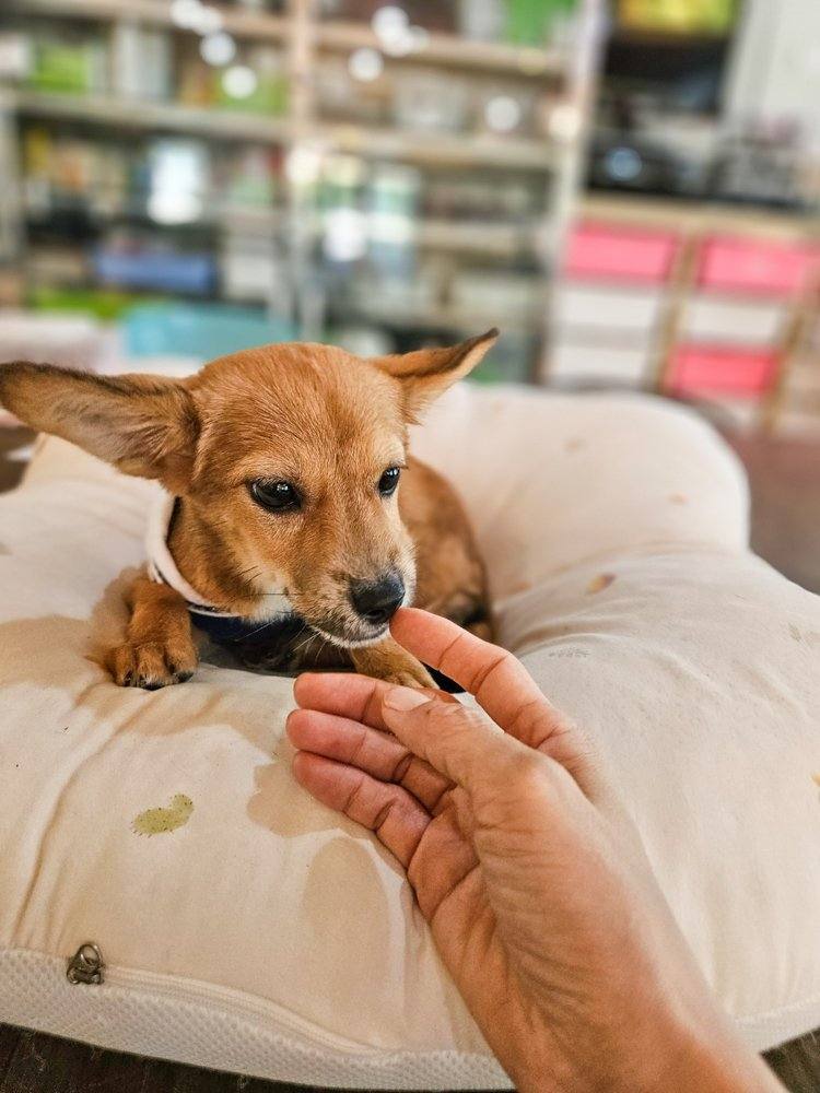 감지