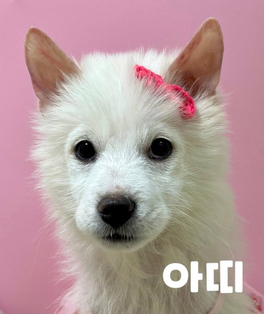 아띠