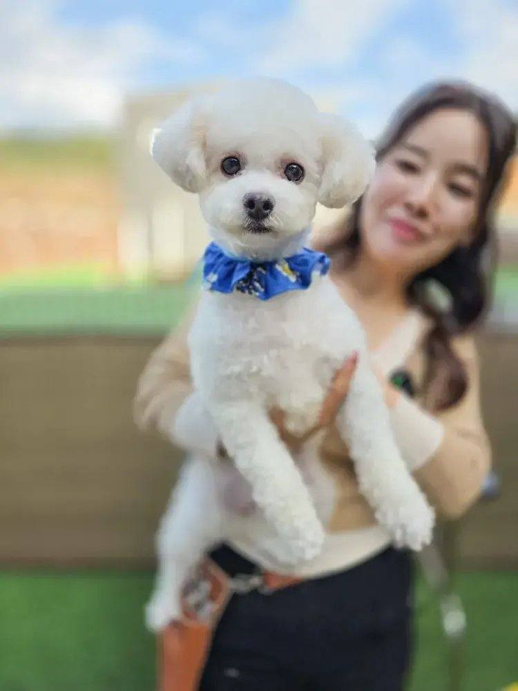 보미