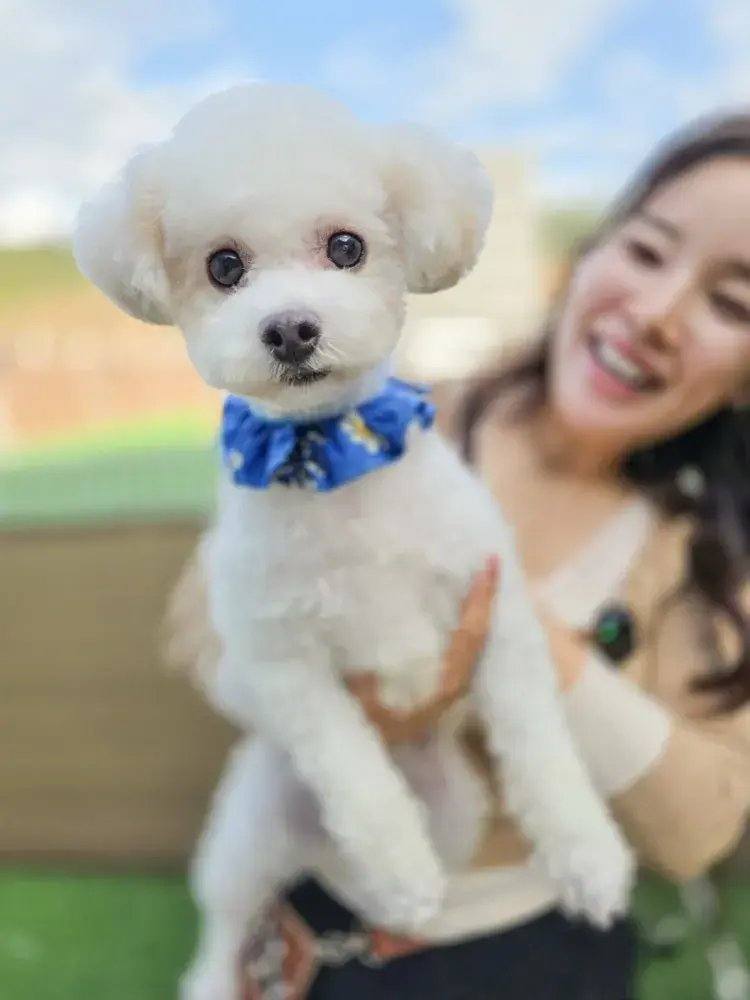 보미