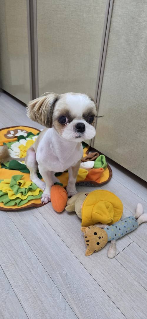 쁘아