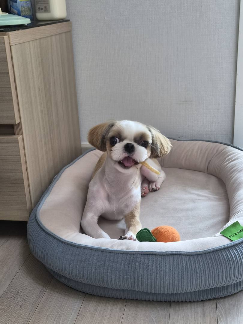 쁘아