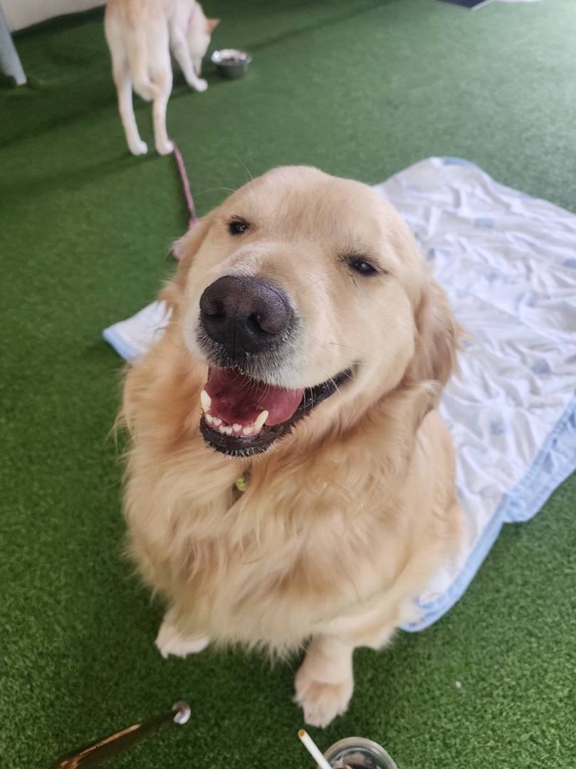 곰둥이
