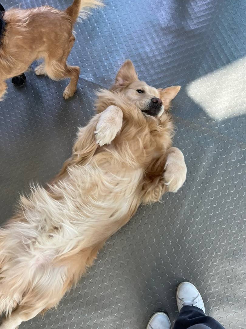 곰둥이