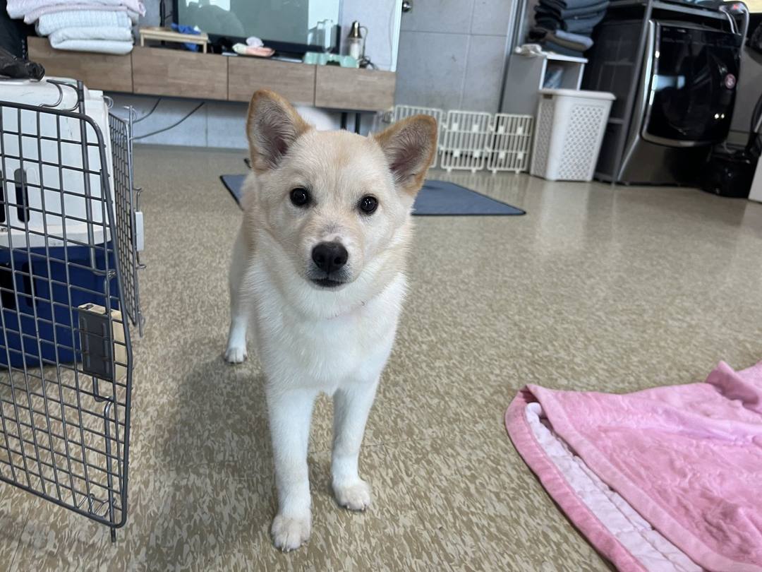 가을