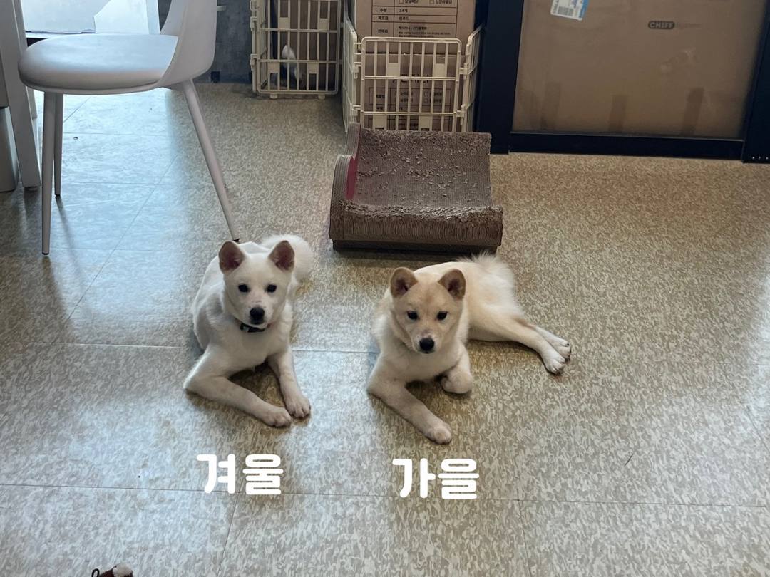 가을