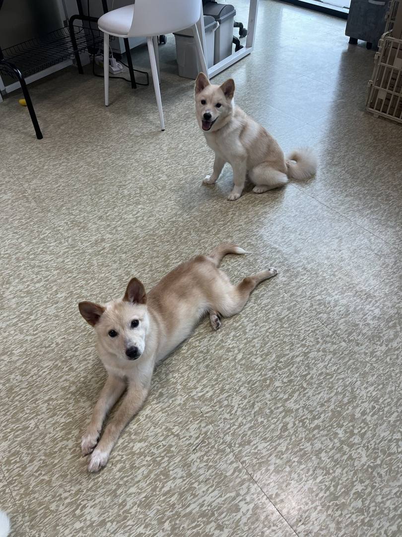 가을
