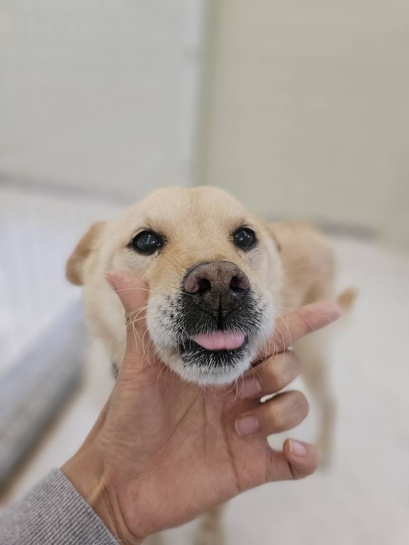 베르