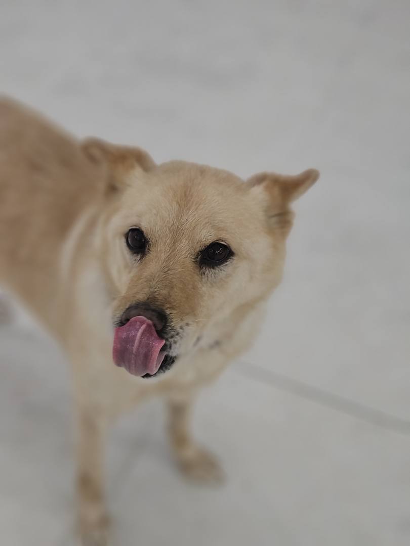 베르